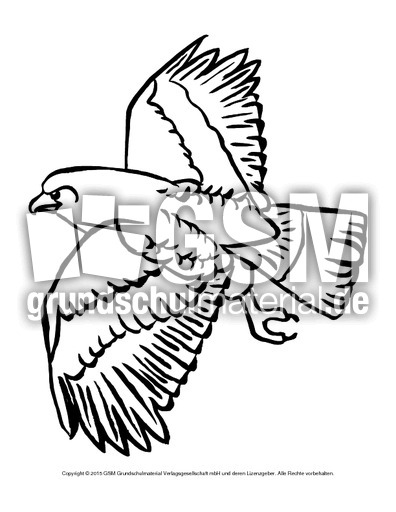 Ausmalbild-Adler.pdf
